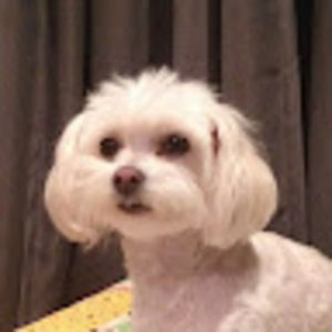 Meet your Posher, Carolyn